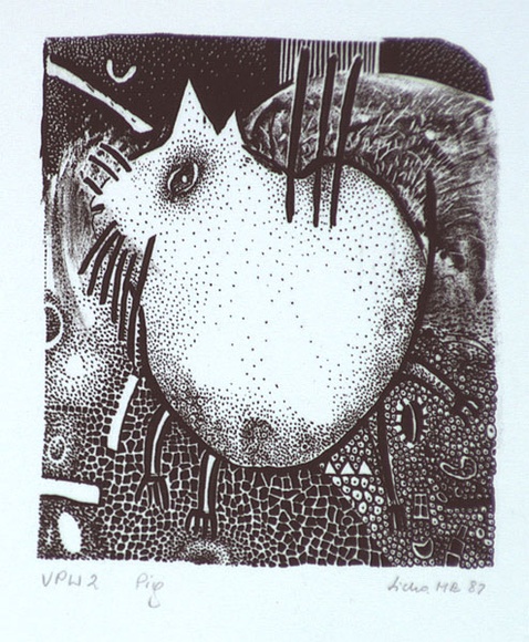 Artist: b'Licha, Barbara.' | Title: b'Pig' | Date: 1987 | Technique: b'lithograph, printed in black ink, from one stone' Artist: b'Licha, Barbara.' | Title: b'Pig' | Date: 1987 | Technique: b'lithograph, printed in black ink, from one stone'