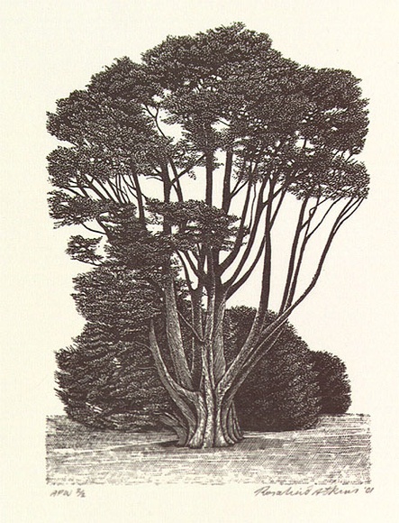 Artist: b'Atkins, Ros.' | Title: b'Guardian' | Date: 2001, September | Technique: b'wood-engraving, printed in black ink, from one block' Artist: b'Atkins, Ros.' | Title: b'Guardian' | Date: 2001, September | Technique: b'wood-engraving, printed in black ink, from one block'