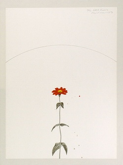 Artist: Rose, David. | Title: Little Zinnia | Date: 1974 | Technique: screenprint, printed in colour, from multiple stencils