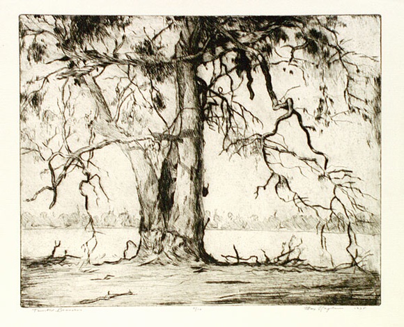 Artist: b'Ragless, Max.' | Title: b'Twisted branches' | Date: 1935 | Technique: b'drypoint, printed in warm black ink with plate-tone, from one plate' | Copyright: b'\xc2\xa9 Max Ragless' Artist: b'Ragless, Max.' | Title: b'Twisted branches' | Date: 1935 | Technique: b'drypoint, printed in warm black ink with plate-tone, from one plate' | Copyright: b'\xc2\xa9 Max Ragless'