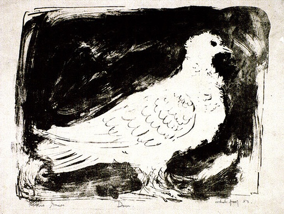 Artist: b'Grieve, Robert.' | Title: b'Dove' | Date: 1953 | Technique: b'lithograph, printed in black ink, from one zinc plate' Artist: b'Grieve, Robert.' | Title: b'Dove' | Date: 1953 | Technique: b'lithograph, printed in black ink, from one zinc plate'