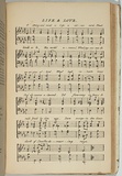 Artist: Ham Brothers. | Title: Life and love. | Date: 1850 | Technique: lithograph, printed in black ink, from one stone