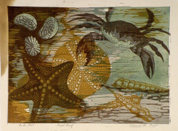 Artist: b'Higgs, Florence.' | Title: b'Rock pool' | Date: c.1956 | Technique: b'linocut, printed in colour, from four blocks' Artist: b'Higgs, Florence.' | Title: b'Rock pool' | Date: c.1956 | Technique: b'linocut, printed in colour, from four blocks'