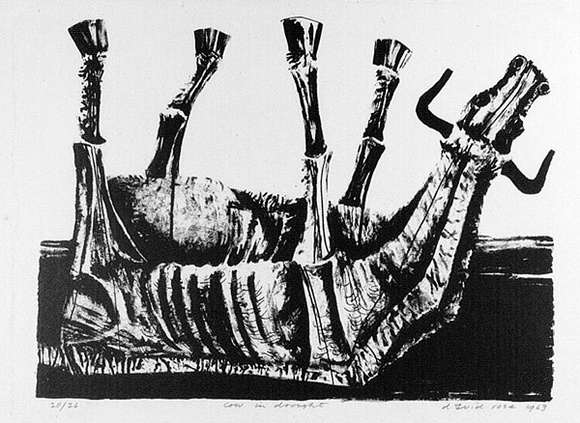 Artist: b'Rose, David.' | Title: b'Cow in drought' | Date: 1963 | Technique: b'lithograph, printed in black ink, from one stone' Artist: b'Rose, David.' | Title: b'Cow in drought' | Date: 1963 | Technique: b'lithograph, printed in black ink, from one stone'