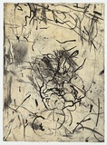 Artist: b'PARR, Mike' | Title: b'Polish mud # 5' | Date: 1995 | Technique: b'drypoint and lift-ground aquatint, printed in colour, from 2 copper plates'