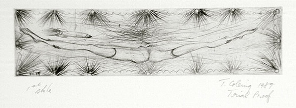 Artist: b'COLEING, Tony' | Title: b'Rocket man hits broad way.' | Date: 1989 | Technique: b'etching, printed in black ink, from one plate' Artist: b'COLEING, Tony' | Title: b'Rocket man hits broad way.' | Date: 1989 | Technique: b'etching, printed in black ink, from one plate'
