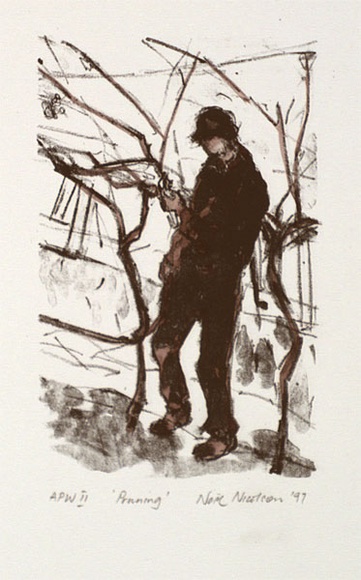 Artist: b'NICOLSON, Noel' | Title: b'Pruning' | Date: 1997, July | Technique: b'lithograph, printed in black ink, from one stone; hand-coloured' Artist: b'NICOLSON, Noel' | Title: b'Pruning' | Date: 1997, July | Technique: b'lithograph, printed in black ink, from one stone; hand-coloured'