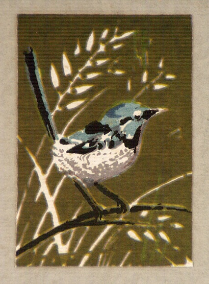 Artist: b'Palmer, Ethleen.' | Title: b'(Blue wren)' | Date: c.1955 | Technique: b'screenprint, printed in colour, from multiple stencils' Artist: b'Palmer, Ethleen.' | Title: b'(Blue wren)' | Date: c.1955 | Technique: b'screenprint, printed in colour, from multiple stencils'