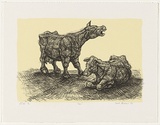 Artist: MENELAUS, Sarah | Title: Cows | Date: 1998, December | Technique: lithograph, printed in black ink, from one stone with cream tint