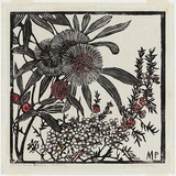 Artist: PRESTON, Margaret | Title: Tea-tree and Hakea petiolaris | Date: 1936 | Technique: woodcut, printed in black ink, from one block; hand-coloured | Copyright: © Margaret Preston. Licensed by VISCOPY, Australia