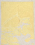 Artist: b'UNKNOWN' | Title: b'(Abstract) (Nimbin - bush printing exercise)' | Technique: b'screenprint, printed in colour, from multiple stencils'