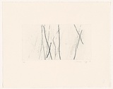 Artist: MOSS, Damian | Title: Trees 1 | Date: 2004 | Technique: etching, printed in black ink, from one plate
