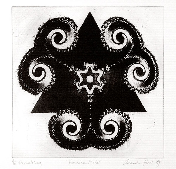 Artist: b'Hart, Amanda.' | Title: b'Feminine male' | Date: 1994 | Technique: b'photo-etching and aquatint, printed in black ink with plate-tone, from one plate' Artist: b'Hart, Amanda.' | Title: b'Feminine male' | Date: 1994 | Technique: b'photo-etching and aquatint, printed in black ink with plate-tone, from one plate'