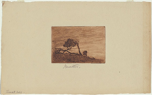 Artist: b'Mather, John.' | Title: b'Sheoak Hill.' | Date: 1898 | Technique: b'etching, printed in brown ink with plate-tone, from one plate' Artist: b'Mather, John.' | Title: b'Sheoak Hill.' | Date: 1898 | Technique: b'etching, printed in brown ink with plate-tone, from one plate'