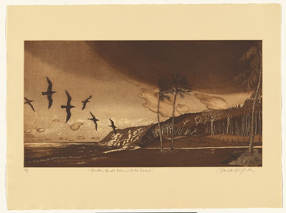 Artist: b'GRIFFITH, Pamela' | Title: b'Mutton birds return to the roost' | Date: 1984 | Technique: b'hardground-etching and aquatint, printed in brown ink, from one zinc plate' | Copyright: b'\xc2\xa9 Pamela Griffith' Artist: b'GRIFFITH, Pamela' | Title: b'Mutton birds return to the roost' | Date: 1984 | Technique: b'hardground-etching and aquatint, printed in brown ink, from one zinc plate' | Copyright: b'\xc2\xa9 Pamela Griffith'