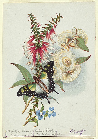 Artist: b'John Sands.' | Title: b'Design for a Christmas card with Australian wild flowers.' | Date: c.1878 | Technique: b'lithograph, printed in colour, from multiple stones' Artist: b'John Sands.' | Title: b'Design for a Christmas card with Australian wild flowers.' | Date: c.1878 | Technique: b'lithograph, printed in colour, from multiple stones'