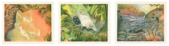 Artist: b'Robinson, William.' | Title: b'Creation landscape - Water and Land I-III.' | Date: 1991 | Technique: b'lithograph, printed in colour, from multiple plates' Artist: b'Robinson, William.' | Title: b'Creation landscape - Water and Land I-III.' | Date: 1991 | Technique: b'lithograph, printed in colour, from multiple plates'