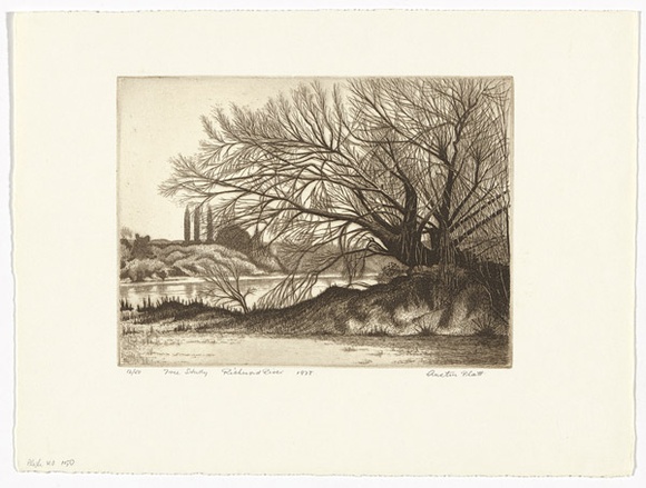 Artist: b'PLATT, Austin' | Title: b'Tree study, Richmond river' | Date: 1978 | Technique: b'etching, printed in black ink, from one plate' Artist: b'PLATT, Austin' | Title: b'Tree study, Richmond river' | Date: 1978 | Technique: b'etching, printed in black ink, from one plate'