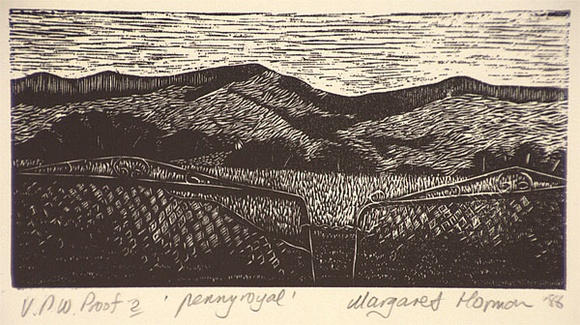Artist: b'Hormann, Margaret.' | Title: b'Penny royal' | Date: 1986 | Technique: b'wood engraving, printed in black ink, from one block' Artist: b'Hormann, Margaret.' | Title: b'Penny royal' | Date: 1986 | Technique: b'wood engraving, printed in black ink, from one block'