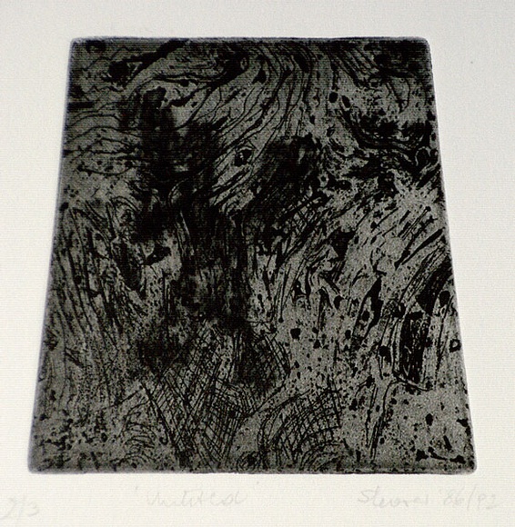 Artist: b'Shearer, Mitzi.' | Title: b'Untitled' | Date: 1992 | Technique: b'etching and aquatint, printed in black ink, from one plate' Artist: b'Shearer, Mitzi.' | Title: b'Untitled' | Date: 1992 | Technique: b'etching and aquatint, printed in black ink, from one plate'