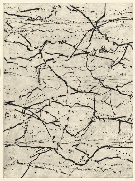 Artist: b'Westcott, Kim.' | Title: b'Branching.' | Date: 1996 | Technique: b'drypoint, printed in black ink, from one plate' | Copyright: b'\xc2\xa9 Kim Westcott.' Artist: b'Westcott, Kim.' | Title: b'Branching.' | Date: 1996 | Technique: b'drypoint, printed in black ink, from one plate' | Copyright: b'\xc2\xa9 Kim Westcott.'