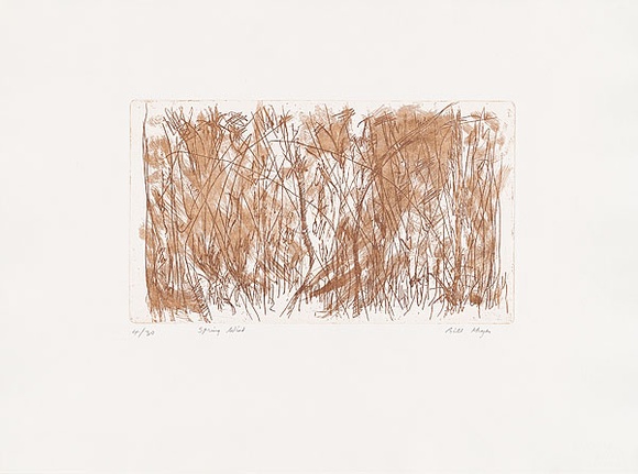 Artist: b'MEYER, Bill' | Title: b'Spring wind' | Date: 1988 | Technique: b'etching, printed in brown ink with plate-tone, from one zinc plate' | Copyright: b'\xc2\xa9 Bill Meyer' Artist: b'MEYER, Bill' | Title: b'Spring wind' | Date: 1988 | Technique: b'etching, printed in brown ink with plate-tone, from one zinc plate' | Copyright: b'\xc2\xa9 Bill Meyer'