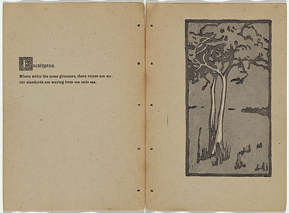 Artist: b'Rede, Geraldine.' | Title: b'Eucalyptus.' | Date: 1909 | Technique: b'woodcut, printed in colour in the Japanese manner, from two blocks; with letter-press' Artist: b'Rede, Geraldine.' | Title: b'Eucalyptus.' | Date: 1909 | Technique: b'woodcut, printed in colour in the Japanese manner, from two blocks; with letter-press'