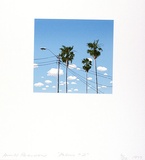 Artist: b'Pearson, Ian.' | Title: b'Palms 2' | Date: 1977 | Technique: b'screenprint, printed in colour, from multiple stencils'