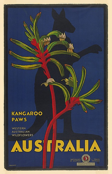 Artist: b'TROMPF, Percy' | Title: b'Kangaroo Paws, Western Australian Wildflowers, Australia.' | Date: (1930s) | Technique: b'lithograph, printed in colour, from multiple stones' Artist: b'TROMPF, Percy' | Title: b'Kangaroo Paws, Western Australian Wildflowers, Australia.' | Date: (1930s) | Technique: b'lithograph, printed in colour, from multiple stones'