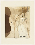Artist: Sharp, Peter. | Title: Soft parts I. | Date: 2001 | Technique: etching and aquatint, printed in colour, from three plates