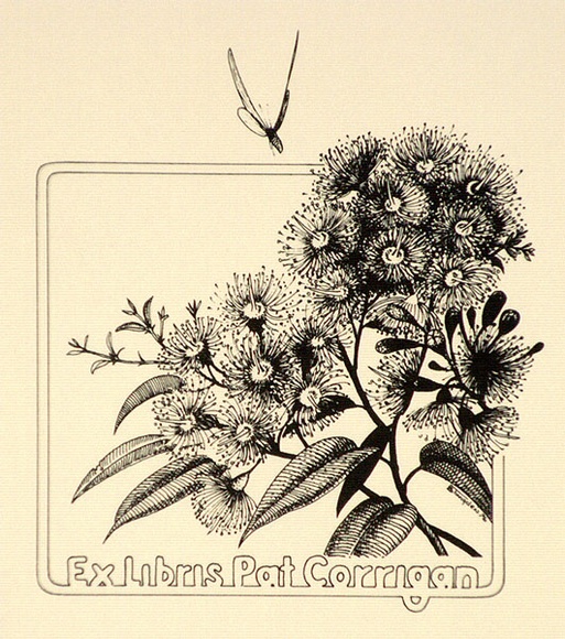 Artist: b'Twigden, Blake.' | Title: b'Bookplate: Pat Corrigan (Gum blossom)' | Date: 1976 | Technique: b'offset-lithograph, printed in black ink' Artist: b'Twigden, Blake.' | Title: b'Bookplate: Pat Corrigan (Gum blossom)' | Date: 1976 | Technique: b'offset-lithograph, printed in black ink'