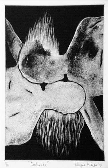 Artist: b'Malm, Wayne.' | Title: b'Embrace' | Date: 1989 | Technique: b'etching and aquatint, printed in black ink, from one copper plate' Artist: b'Malm, Wayne.' | Title: b'Embrace' | Date: 1989 | Technique: b'etching and aquatint, printed in black ink, from one copper plate'