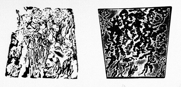 Artist: b'Shearer, Mitzi.' | Title: b'Vine relief' | Technique: b'etching, printed in black ink, from two  plates'