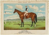Artist: Woodhouse, Frederick Junior. | Title: Woodhouse's Australasian Winner's, Carbine. | Date: 1893 | Technique: lithograph, printd in colour, from multiple stones; hand-coloured