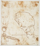 Artist: PARR, Mike | Title: Alphabet/Haemorrhage. | Date: 1992-93 | Technique: etching, printed in red ochre ink, from one plate