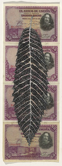 Artist: b'HALL, Fiona' | Title: b'Castanea sativa - Sweet chestnut (Spanish currency)' | Date: 2000 - 2002 | Technique: b'gouache' | Copyright: b'\xc2\xa9 Fiona Hall' Artist: b'HALL, Fiona' | Title: b'Castanea sativa - Sweet chestnut (Spanish currency)' | Date: 2000 - 2002 | Technique: b'gouache' | Copyright: b'\xc2\xa9 Fiona Hall'