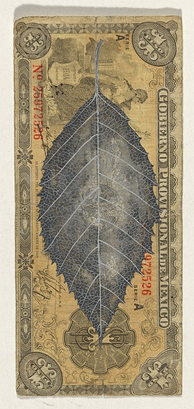Artist: b'HALL, Fiona' | Title: b'Alnus acuminata - Mexican elm (Mexican currency)' | Date: 2000 - 2002 | Technique: b'gouache' | Copyright: b'\xc2\xa9 Fiona Hall' Artist: b'HALL, Fiona' | Title: b'Alnus acuminata - Mexican elm (Mexican currency)' | Date: 2000 - 2002 | Technique: b'gouache' | Copyright: b'\xc2\xa9 Fiona Hall'