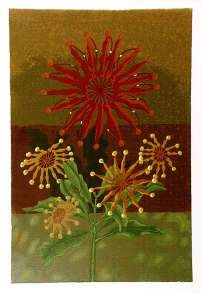 Artist: b'letcher, William.' | Title: b'Fire wheel tree.' | Date: 1979 | Technique: b'screenprint, printed in colour, from multiple stencils' | Copyright: b'With the permission of The William Fletcher Trust which provides assistance to young artists.' Artist: b'letcher, William.' | Title: b'Fire wheel tree.' | Date: 1979 | Technique: b'screenprint, printed in colour, from multiple stencils' | Copyright: b'With the permission of The William Fletcher Trust which provides assistance to young artists.'