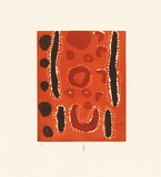 Artist: b'Watson, Ngiyu Shirley.' | Title: b'Untitled' | Date: 2004