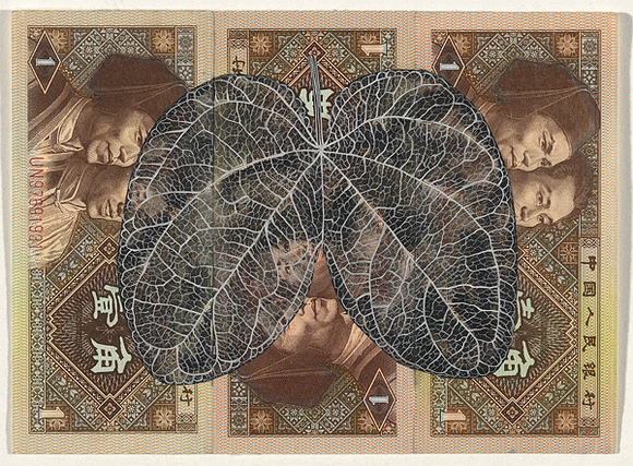 Artist: b'HALL, Fiona' | Title: b'Bauhinia glauca (Chinese currency)' | Date: 2000 - 2002 | Technique: b'gouache' | Copyright: b'\xc2\xa9 Fiona Hall' Artist: b'HALL, Fiona' | Title: b'Bauhinia glauca (Chinese currency)' | Date: 2000 - 2002 | Technique: b'gouache' | Copyright: b'\xc2\xa9 Fiona Hall'