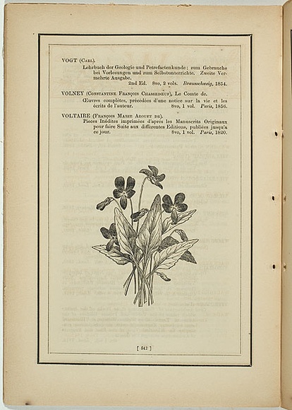 Title: not titled [viola betonicifolia]. | Date: 1861 | Technique: woodengraving, printed in black ink, from one block