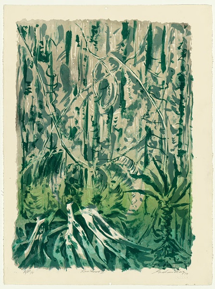Artist: b'King, Grahame.' | Title: b'Rain forest II' | Date: 1979 | Technique: b'lithograph, printed in colour, from four stones [or plates]'