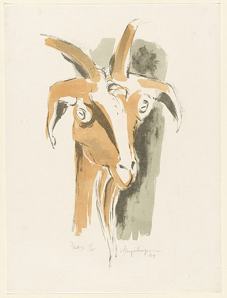 Artist: b'MACQUEEN, Mary' | Title: b'Goat II' | Date: 1969 | Technique: b'lithograph, printed in colour, from multiple plates' | Copyright: b'Courtesy Paulette Calhoun, for the estate of Mary Macqueen' Artist: b'MACQUEEN, Mary' | Title: b'Goat II' | Date: 1969 | Technique: b'lithograph, printed in colour, from multiple plates' | Copyright: b'Courtesy Paulette Calhoun, for the estate of Mary Macqueen'