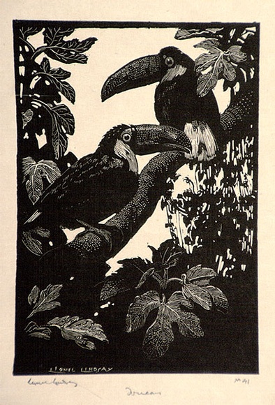 Artist: b'LINDSAY, Lionel' | Title: b'Toucans' | Date: 1925 | Technique: b'wood-engraving, printed in black ink, from one block' | Copyright: b'Courtesy of the National Library of Australia' Artist: b'LINDSAY, Lionel' | Title: b'Toucans' | Date: 1925 | Technique: b'wood-engraving, printed in black ink, from one block' | Copyright: b'Courtesy of the National Library of Australia'