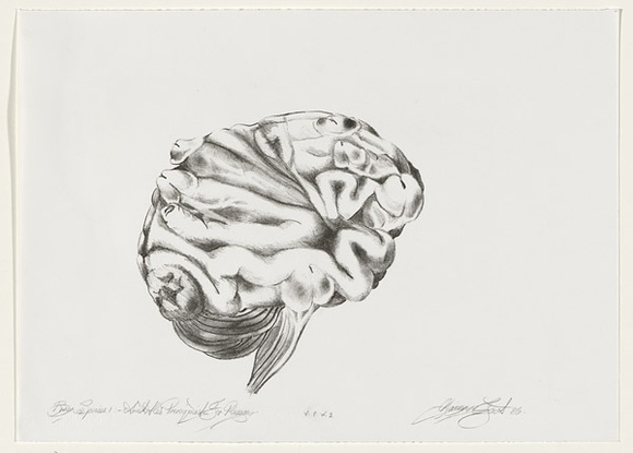 Artist: b'Tritton-Young, Maxienne.' | Title: bBrain species I. Aristotle's pre-requisite for reason | Date: 1986, November | Technique: b'lithograph, printed in black ink, from one stone' Artist: b'Tritton-Young, Maxienne.' | Title: bBrain species I. Aristotle's pre-requisite for reason | Date: 1986, November | Technique: b'lithograph, printed in black ink, from one stone'