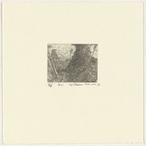 Artist: Robinson, William. | Title: Springbrook 2 | Date: 1999 | Technique: etching, printed in brown ink, from one plate