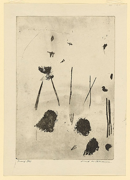 Artist: b'WILLIAMS, Fred' | Title: b'Gum trees in landscape, Lysterfield' | Date: 1965-66 | Technique: b'sugarlift-aquatint, engraving, and open biting, printed in black ink, from one copper plate' | Copyright: b'\xc2\xa9 Fred Williams Estate' Artist: b'WILLIAMS, Fred' | Title: b'Gum trees in landscape, Lysterfield' | Date: 1965-66 | Technique: b'sugarlift-aquatint, engraving, and open biting, printed in black ink, from one copper plate' | Copyright: b'\xc2\xa9 Fred Williams Estate'