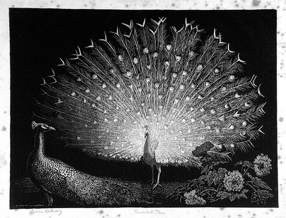 Artist: LINDSAY, Lionel | Title: The white fan | Date: 1935 | Technique: wood-engraving, printed in black ink, from one block | Copyright: Courtesy of the National Library of Australia Artist: LINDSAY, Lionel | Title: The white fan | Date: 1935 | Technique: wood-engraving, printed in black ink, from one block | Copyright: Courtesy of the National Library of Australia