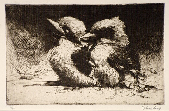 Artist: b'Long, Sydney.' | Title: b'Young Kookaburras' | Date: 1925 | Technique: b'line-etching and drypoint, printed in dark brown ink, from one copper plate' | Copyright: b'Reproduced with the kind permission of the Ophthalmic Research Institute of Australia'