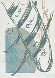 Artist: MEYER, Bill | Title: Forest descending | Date: 1986 | Technique: screenprint, printed in five colours, from multiple screens (including half tone photo images and hand drawn on acetate) | Copyright: © Bill Meyer